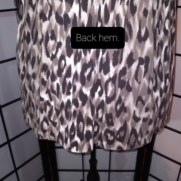 2A. Ann Taylor [Est. 1954] Leopard Print Dress - Picture 12 of 14